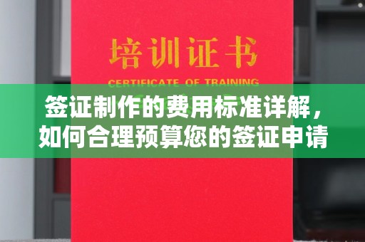 庆元签证制作的费用标准详解，如何合理预算您的签证申请成本